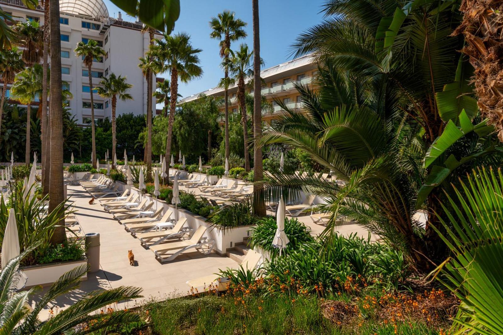 Aqua Hotel The Breeze (Adults Only +18) All Inclusive Santa Susanna Eksteriør billede